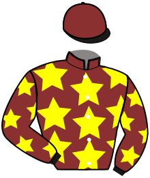 casaque portée par Saussaye V. jockey du cheval de course LA CHENEVIERE, information pmu ZETURF