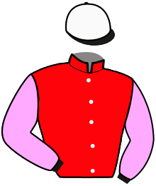 casaque portée par Le Bec Axe. jockey du cheval de course KARDECHOIS, information pmu ZETURF