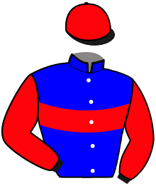 casaque portée par Boudou O. jockey du cheval de course KLEM, information pmu ZETURF
