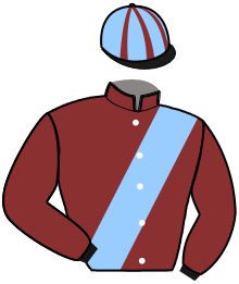 casaque portée par Dabouis A. jockey du cheval de course HORN, information pmu ZETURF