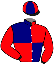 casaque portée par Jublot L. jockey du cheval de course HOLKA DU LYS, information pmu ZETURF