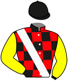 casaque portée par Guyon M. jockey du cheval de course MANEATER, information pmu ZETURF