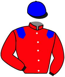 casaque portée par Boutin Hug. jockey du cheval de course ROI DE L'AIR, information pmu ZETURF