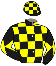 casaque portée par Valle Skar Mlle F. jockey du cheval de course RAAGI, information pmu ZETURF
