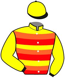 casaque portée par Bachelot T. jockey du cheval de course CHRISTINE, information pmu ZETURF
