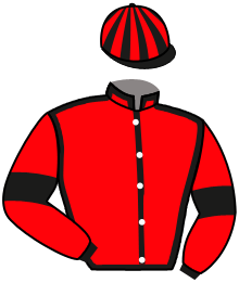 casaque portée par Berge C. jockey du cheval de course GURVAN, information pmu ZETURF