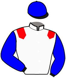 casaque portée par Declercq J. R. jockey du cheval de course MON LOUP, information pmu ZETURF