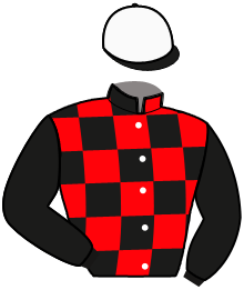 casaque portée par D'haenens N. jockey du cheval de course LOKI DU CARMA, information pmu ZETURF