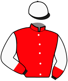 casaque portée par Koubiche Jér. jockey du cheval de course KISS WOOD, information pmu ZETURF