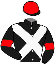 casaque portée par Poree G. jockey du cheval de course HE MISS DEIHA, information pmu ZETURF
