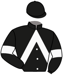 casaque portée par Mathieu Mlle Pavard L. jockey du cheval de course JAVELINEDARCHE, information pmu ZETURF