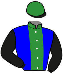 casaque portée par Demoulin Mme B. jockey du cheval de course JULIA DOCTOR, information pmu ZETURF