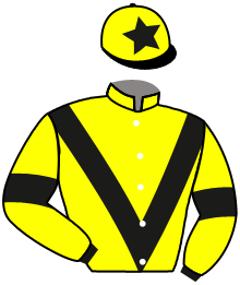casaque portée par Mendizabal I. jockey du cheval de course MANSOOR DE FAUST, information pmu ZETURF