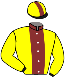 casaque portée par Mouesan H. jockey du cheval de course CATCH THE STARS, information pmu ZETURF