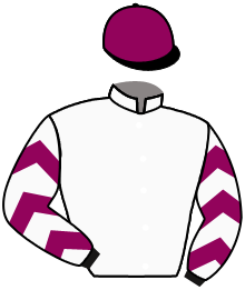 casaque portée par Lebouc Hug. jockey du cheval de course ROUGE, information pmu ZETURF