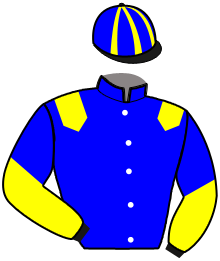 casaque portée par Desmottes A. jockey du cheval de course JOYEUX CORDIERE, information pmu ZETURF