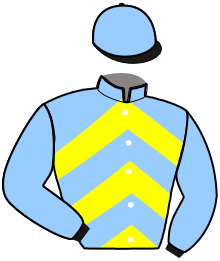 casaque portée par Bonnefoy F. jockey du cheval de course JE REVE DE TOI, information pmu ZETURF