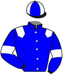 casaque portée par Lemoine Th. jockey du cheval de course IMAGIOUS DE VANDEL, information pmu ZETURF