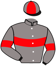 casaque portée par Sionneau H. jockey du cheval de course GAMAY DES CROUAS, information pmu ZETURF