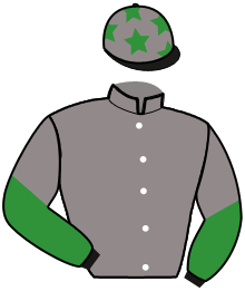 casaque portée par Tintillier A. jockey du cheval de course KILL BILL MARGOT, information pmu ZETURF