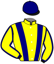 casaque portée par Desmottes A. jockey du cheval de course LOLLIPOP TIVO, information pmu ZETURF