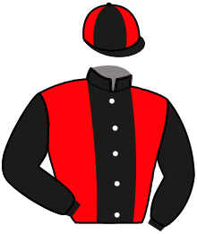 casaque portée par Bourlier S. jockey du cheval de course MALICE LUDOISE, information pmu ZETURF