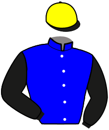 casaque portée par Nivard F. jockey du cheval de course MISS D'AUTHION, information pmu ZETURF