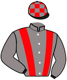 casaque portée par Haon Dav. A. jockey du cheval de course KING CLEVER, information pmu ZETURF