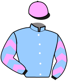 casaque portée par Placier O. jockey du cheval de course LEONA DU GITE, information pmu ZETURF