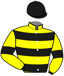 casaque portée par Mourot N. jockey du cheval de course LEGOLAS PAULOIS, information pmu ZETURF