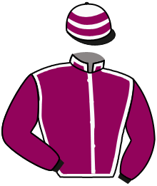 casaque portée par Reveley J. jockey du cheval de course L'ENSORCELEE, information pmu ZETURF