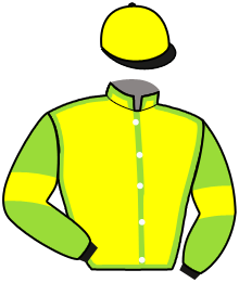 casaque portée par Brechet Léo P. jockey du cheval de course HELL STORM, information pmu ZETURF