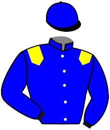 casaque portée par Smeulders C. jockey du cheval de course TIGER DE JUILLEY, information pmu ZETURF