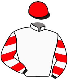 casaque portée par Lebouc Hug. jockey du cheval de course GREAT ART, information pmu ZETURF