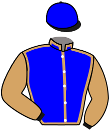 casaque portée par Pageot A. jockey du cheval de course AFRIQUE ADIEU, information pmu ZETURF