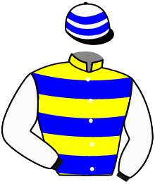 casaque portée par Lepage Axe. jockey du cheval de course OULALA DES BRIERES, information pmu ZETURF