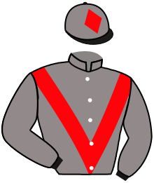 casaque portée par Thomas Dam. jockey du cheval de course RIBBIT, information pmu ZETURF