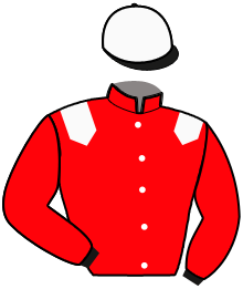 casaque portée par Ploquin Pau. Ph. jockey du cheval de course MONACO, information pmu ZETURF