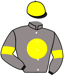 casaque portée par Demuro C. jockey du cheval de course STORM STAR, information pmu ZETURF