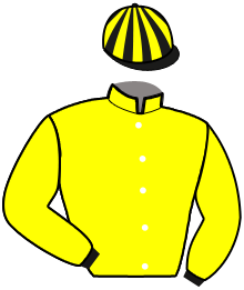 casaque portée par Criado M. jockey du cheval de course LUTTEUR DU RIEU, information pmu ZETURF