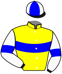 casaque portée par Marty F. jockey du cheval de course FAKIR MERITE, information pmu ZETURF