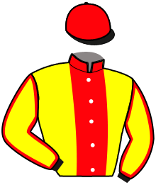 casaque portée par Abrivard M. jockey du cheval de course ILOU FIRST RICHER, information pmu ZETURF