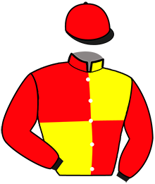 casaque portée par Raffin Th. jockey du cheval de course GERONIMO FUEGO, information pmu ZETURF