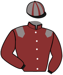casaque portée par Feyte C. jockey du cheval de course JOHNDEER DU DROPT, information pmu ZETURF