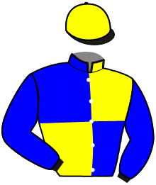 casaque portée par Clozier F. jockey du cheval de course JASMIN MERITE, information pmu ZETURF