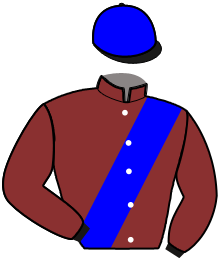 casaque portée par Mottier M. jockey du cheval de course LIBERTA DEL PHEDO, information pmu ZETURF
