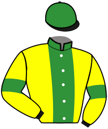 casaque portée par Brohier D. jockey du cheval de course GREAT D'ARRY, information pmu ZETURF