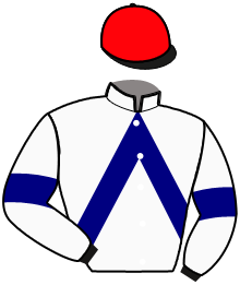 casaque portée par Lamy R. jockey du cheval de course HORACIO DE CERISY, information pmu ZETURF
