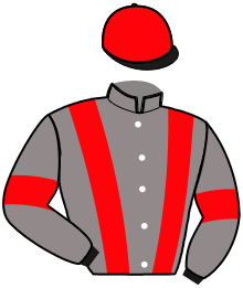 casaque portée par Potier Mat. jockey du cheval de course KARL DU CHATELET, information pmu ZETURF