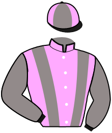 casaque portée par Lebiez J. jockey du cheval de course KARL LEWIS, information pmu ZETURF